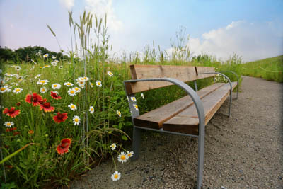 Image of Flight 93 National Memorial